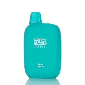 Flum Pebble 6000 Puffs Rechargeable Disposable Vape – 14ML for Sale